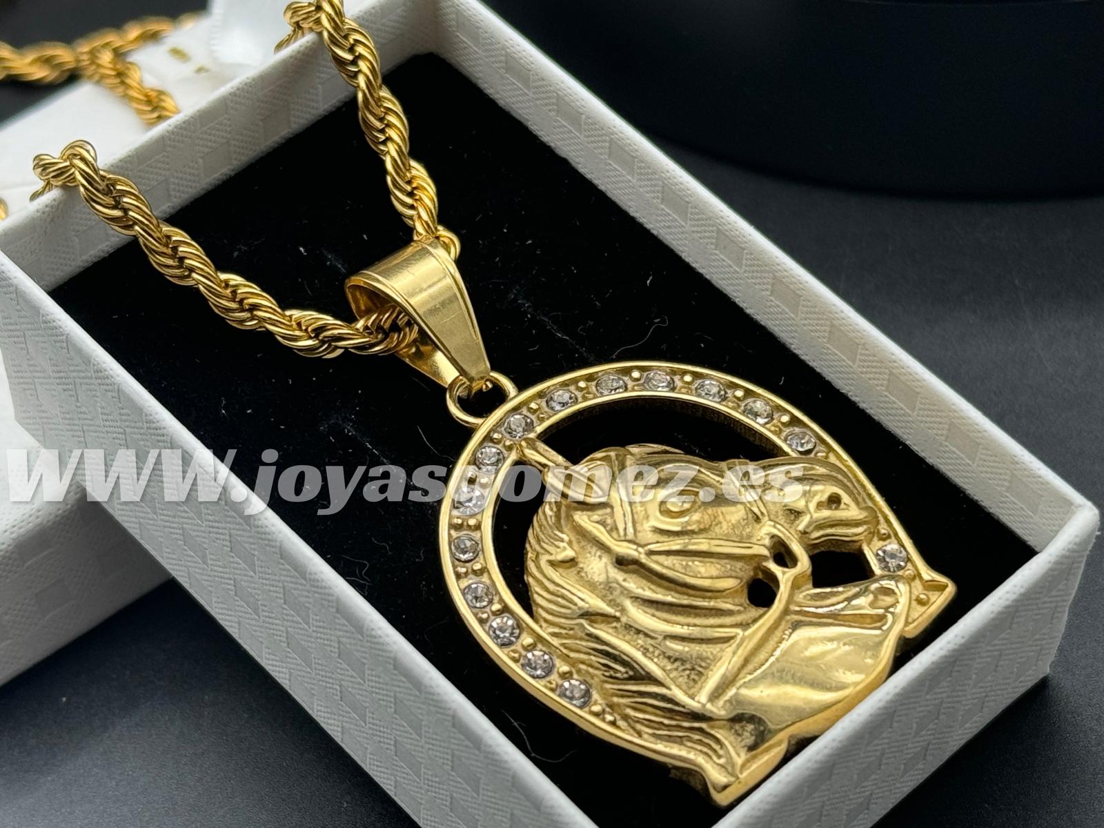 WhatsApp Image 2024-09-18 at 09.07.24 Colgante herradura +cordón 4mm*60cm ,acero 316L chapado oro 18k - Imagen 1