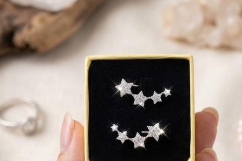 Pendientes trepadores estrellas circonitas, plata de ley rodiada