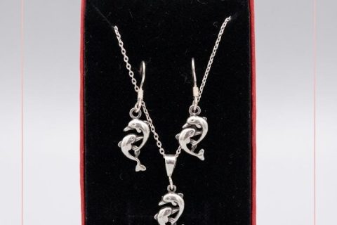 Conjunto delfín -plata de ley